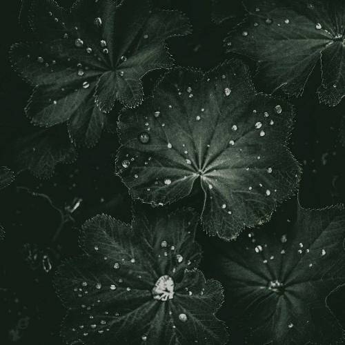 رسیده وَلِن باز من رینگ تو دستم تو دستت ساک با چی میخوای بری